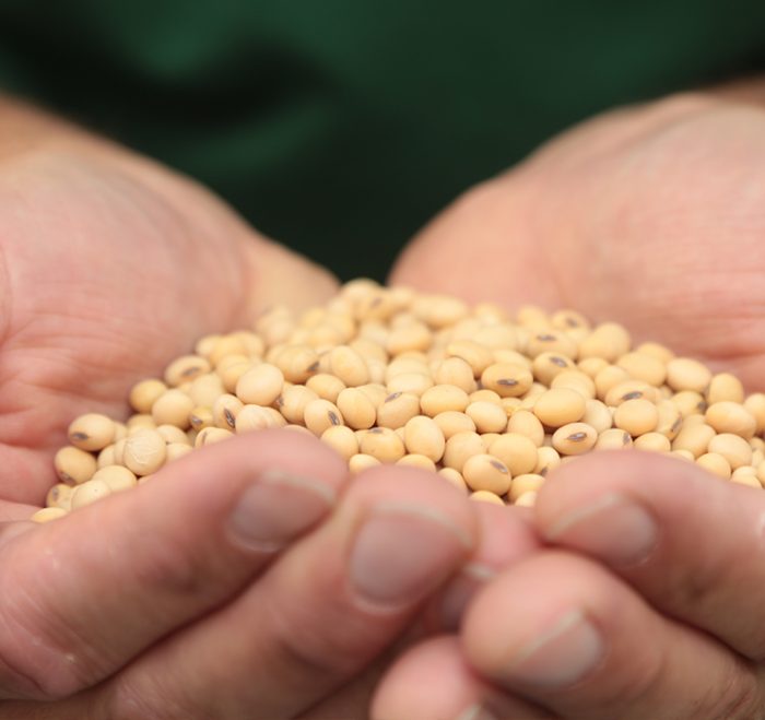 North Dakota Soybean Council | Our World Is Growing